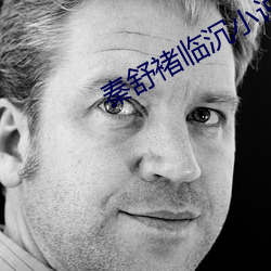 秦(秦)舒褚临沉小(小)说免费阅读无弹(彈)窗(窗)
