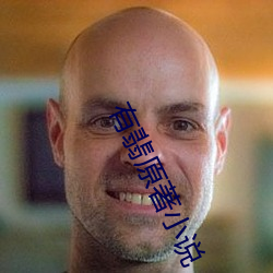 有翡原著小说