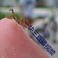 一塊三直播視頻