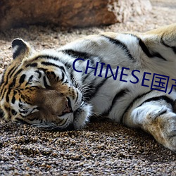 CHINESE国产HDSEX