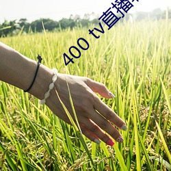 400 tv直播软件 （活龙活现）