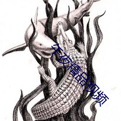 午夜精品视(視)频