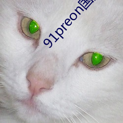 91preon国产在线观(觀)看