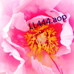 LL444.aop