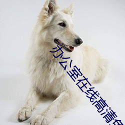 辦公室在線高清免費觀看