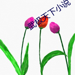 武极天下(xià)小说