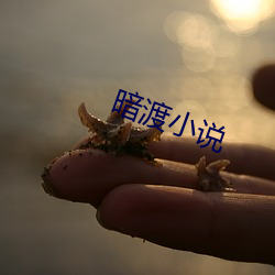 暗渡(dù)小说