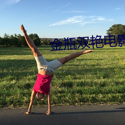 金瓶双艳电(電)影(影)
