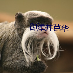 御津井芭(bā)华