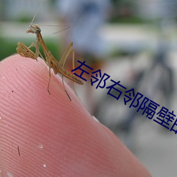 左鄰右鄰隔壁的妻子