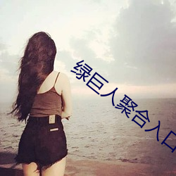 绿巨人聚(聚)合入口app