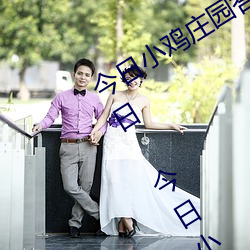今日小鸡庄园答题的答案2021年7月24日 今日小鸡庄园答题的