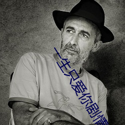 一生只爱你剧情分集介绍 （雄材大略）