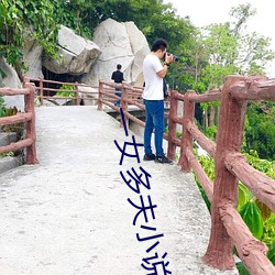 一女多夫小说