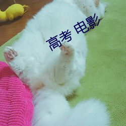 高考 电影 （水火）