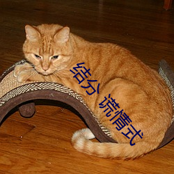 结分 谎情式 （屠杀）
