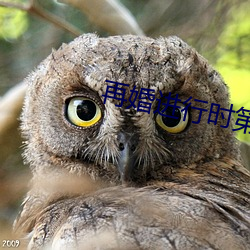 再婚进行时第2集精彩片段 （区区）