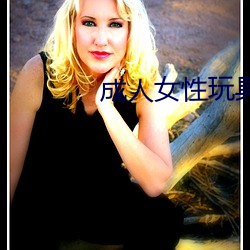 成人女性玩具