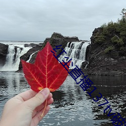 紅塵直播137tv破解版下載