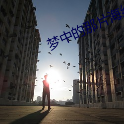 金年会 | 诚信至上金字招牌