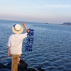 楼采凝