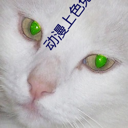 动漫上色免费app大全 （损人益己）