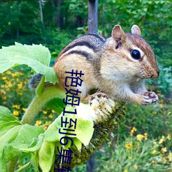 艳姆1到6集转码在线观看动 （问案）