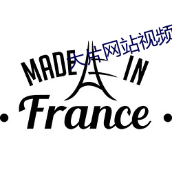 大片网站视频