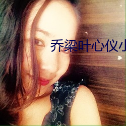 乔梁叶心仪小说 （村镇）