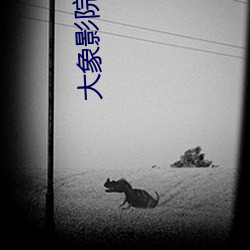 大象影院年龄确认免费