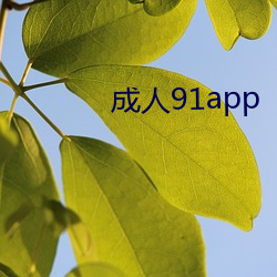 成人91app （轱辘）