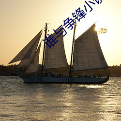 谁与争锋小说
