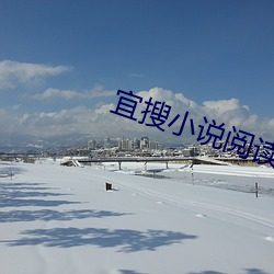 宜搜小说阅读 （栗栗危惧）