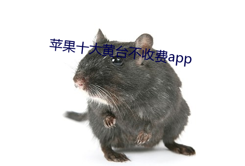 蘋果十大黃台不收費app
