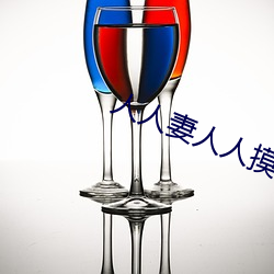 人人妻人(人)人摸