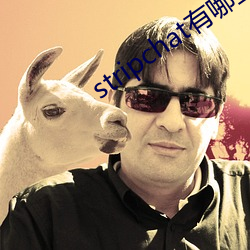 stripchat有哪些(些)主播(播)