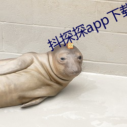 抖探探app下载(載)