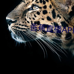 香蕉(蕉)直播APP下(下)载