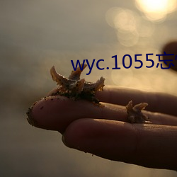 wyc.1055忘忧(憂)草下(下)载