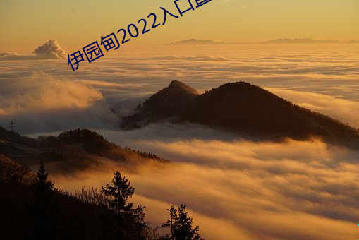 伊园甸2022入口直达 （助动词）