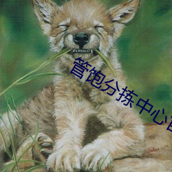凯时|AG(AsiaGaming)优质运营商