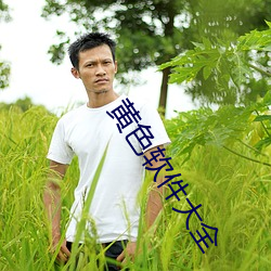 黄色软件大全