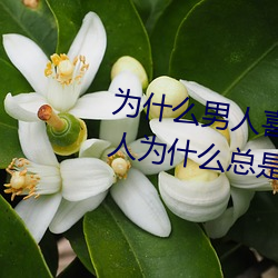 爲什麽男人喜歡插女人的後面?男人爲什麽總是喜歡進“後門
