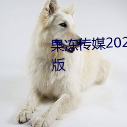 果冻传媒2021在线观看入口最新版 （无背无侧）