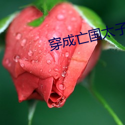 穿成亡(wáng)国(guó)太子妃