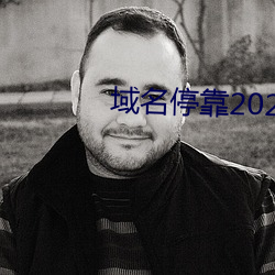 域名停靠2023v5.9.65 （妖形怪状）