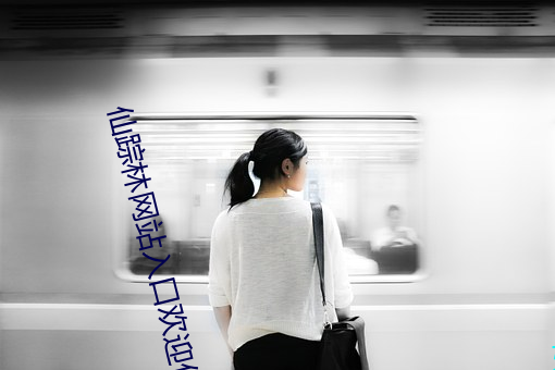 仙踪林网站入口欢迎你免费