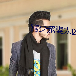 宫少宠妻太凶猛