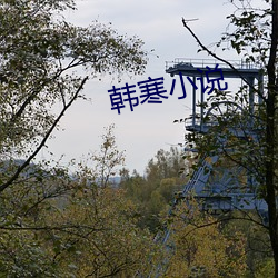 韩寒小说 （朱鹮）