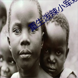 重生(shēng)泼辣小军嫂